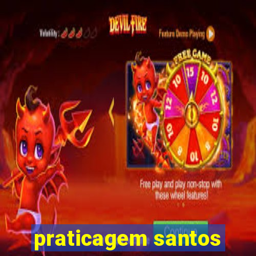 praticagem santos